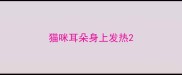 猫咪耳朵身上发热
