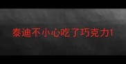 泰迪不小心吃了巧克力