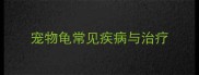 宠物龟常见疾病与治疗