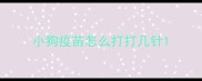 小狗疫苗怎么打打几针
