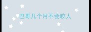 巴哥几个月不会咬人