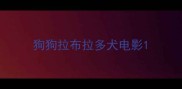 狗狗拉布拉多犬电影