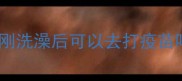 猫刚洗澡后可以去打疫苗吗