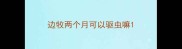 边牧两个月可以驱虫嘛