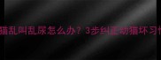 2个月虎皮猫乱叫乱尿怎么办3步纠正幼猫坏习惯的实战指南