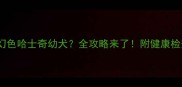 如何选购与养护梦幻色哈士奇幼犬全攻略来了附健康检查要点与训练技巧