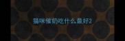 猫咪催奶吃什么最好
