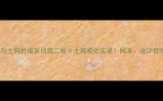 哈士奇与土狗的爆笑日常二哈土狗相处实录网友这CP我嗑爆了