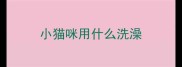 小猫咪用什么洗澡