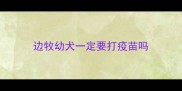 边牧幼犬一定要打疫苗吗