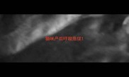 猫咪产后呼吸急促