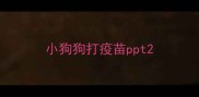 小狗狗打疫苗ppt