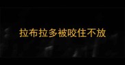 拉布拉多被咬住不放