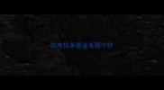 拉布拉多跟金毛那个好