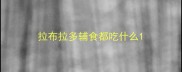 拉布拉多辅食都吃什么