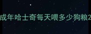 成年哈士奇每天喂多少狗粮