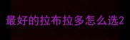 最好的拉布拉多怎么选