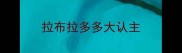 拉布拉多多大认主