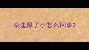 泰迪鼻子小怎么回事
