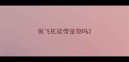 做飞机能带宠物吗