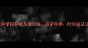 成年猫咪科学接种疫苗全攻略疫苗种类时间表及注意事项