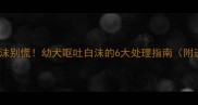 哈士奇吐白沫别慌幼犬呕吐白沫的6大处理指南附送送医清单