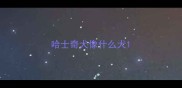 哈士奇犬像什么犬