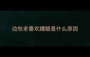 边牧老喜欢蹭腿是什么原因