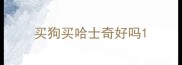 买狗买哈士奇好吗