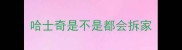 哈士奇是不是都会拆家