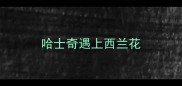 哈士奇遇上西兰花