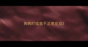 狗狗打疫苗不正常反应