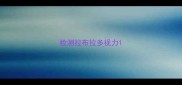 检测拉布拉多视力