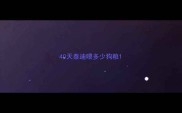 40天泰迪喂多少狗粮