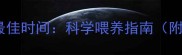 泰迪犬泡粮注意事项及最佳时间科学喂养指南附泡制步骤与常见误区