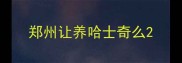 郑州让养哈士奇么