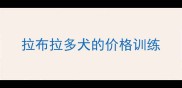 拉布拉多犬的价格训练