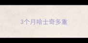 3个月哈士奇多重