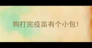 狗打完疫苗有个小包