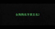 女狗狗名字英文名