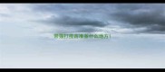带猫打疫苗准备什么地方