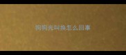 狗狗光叫换怎么回事