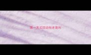 第一天买回边牧老是叫