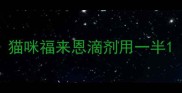 猫咪福来恩滴剂用一半
