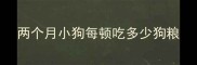 两个月小狗每顿吃多少狗粮