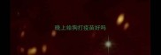 晚上给狗打疫苗好吗