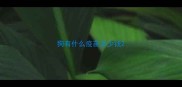 狗有什么疫苗多少钱