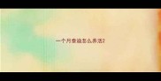 一个月泰迪怎么养活