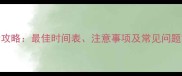 幼犬泰迪疫苗接种全攻略最佳时间表注意事项及常见问题解答附详细流程