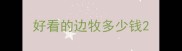 好看的边牧多少钱
